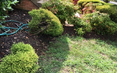 Photo of Constance M.'s yard after getting landscaping in Faulkner, MD