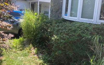 Photo of Kaylin S.'s yard after getting lawn care in New Milford, CT