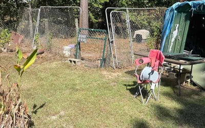 Photo of Michael H.'s yard after getting tree care in Crawfordville, FL