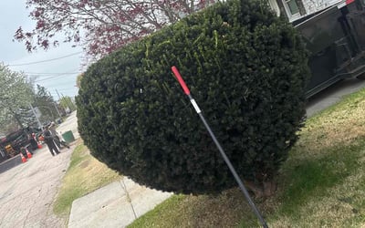 Photo of Marco C.'s yard after getting landscaping in Warwick, RI