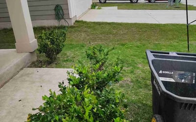 Photo of Sarah C.'s yard after getting landscaping in Maxwell, TX