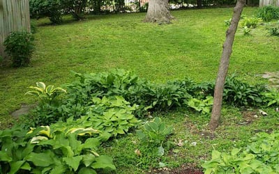 Photo of Elizabeth F.'s yard after getting landscaping in Des Moines, IA