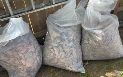 Photo of Joseph M.'s yard after getting landscaping in Donaldsonville, LA