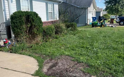 Photo of Eugene E.'s yard after getting tree care in O Fallon, MO