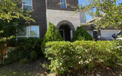 Photo of Diana H.'s yard after getting tree care in Helotes, TX