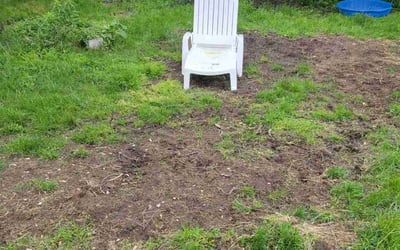 Photo of Melody A.'s yard after getting landscaping in Livonia, MI