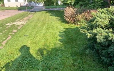 Photo of Genetta H.'s yard after getting tree care in Jackson, MI