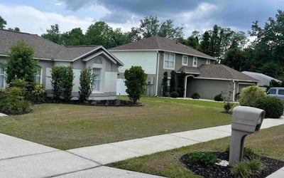 Photo of Paul P.'s yard after getting landscaping in Ocoee, FL