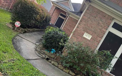 Photo of Michael G.'s yard after getting landscaping in Humble, TX