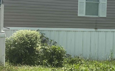 Photo of Morgan W.'s yard after getting landscaping in Lexington, SC