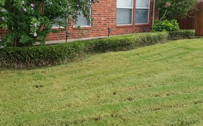 Photo of Phillip J.'s yard after getting landscaping in Commerce, TX