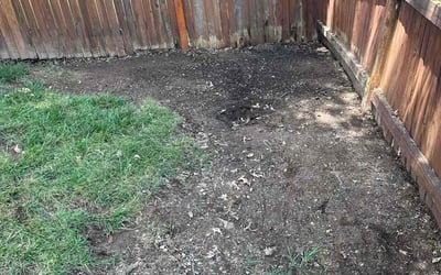 Photo of Michael C.'s yard after getting landscaping in Bristow, VA