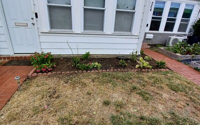 Photo of Gregory E.'s yard after getting landscaping in Dunn Loring, VA