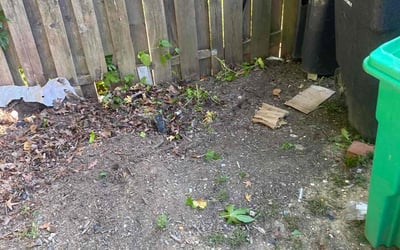 Photo of kathleen d.'s yard after getting landscaping in Dunn Loring, VA