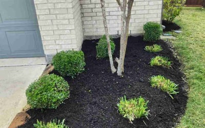 Photo of Alan M.'s yard after getting landscaping in Simonton, TX