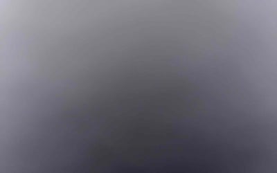 Photo of Shaneka J.'s yard after getting tree care in Clermont, FL