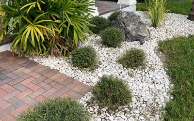 Photo of Nick S.'s yard after getting landscaping in Ferndale, FL