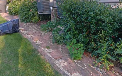 Photo of Dorothy E.'s yard after getting tree care in Coatesville, PA