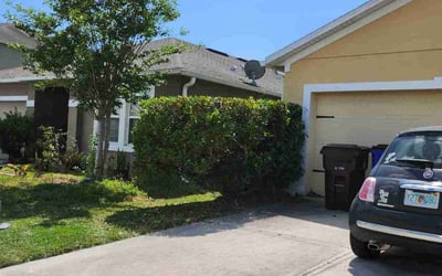 Photo of Domenic A.'s yard after getting tree care in Intercession City, FL