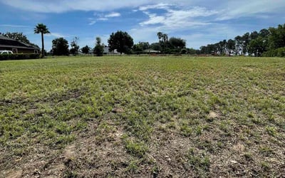 Photo of Kim K.'s yard after getting landscaping in Clermont, FL