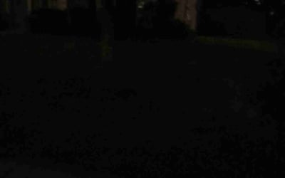 Photo of JoAnn C.'s yard after getting landscaping in Brandon, MS