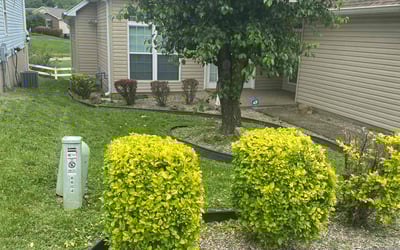 Photo of Mary B.'s yard after getting landscaping in Taylorsville, KY