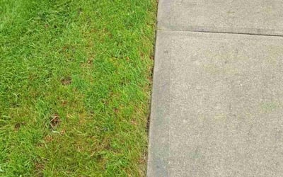 Photo of Thomas M.'s yard after getting landscaping in Fort Wayne, IN