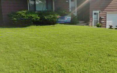 Photo of Cliff M.'s yard after getting landscaping in Middleton, WI