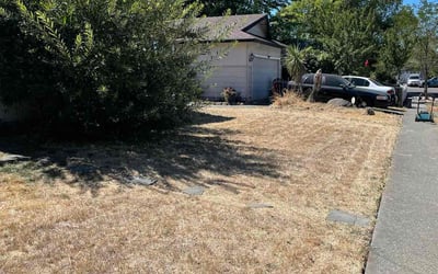 Photo of Matthew H.'s yard after getting landscaping in Healdsburg, CA