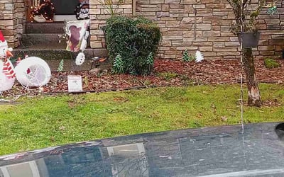 Photo of Jasmine A.'s yard after getting landscaping in Cornelius, OR