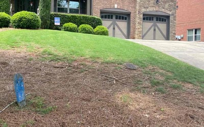 Photo of Ronald S.'s yard after getting landscaping in Buckhead, GA