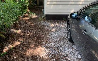 Photo of Joan S.'s yard after getting tree care in New Orleans, LA