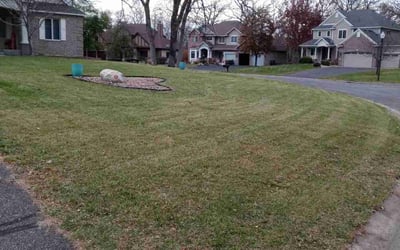 Photo of Ashley B.'s yard after getting landscaping in Clearwater, MN