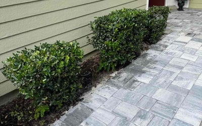 Photo of Meredith E.'s yard after getting landscaping in Penney Farms, FL