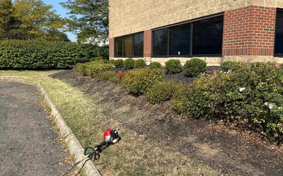 Photo of Abdul I.'s yard after getting landscaping in Broadway, OH