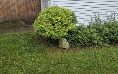 Photo of Cindy H.'s yard after getting landscaping in Erie, PA