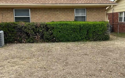 Photo of Danielle W.'s yard after getting landscaping in Okmulgee, OK