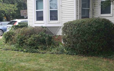Photo of Chris R.'s yard after getting landscaping in Achilles, VA