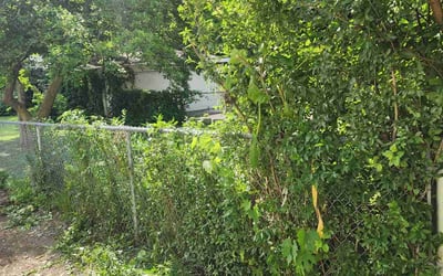 Photo of Thomas W.'s yard after getting landscaping in Elmhurst, IL