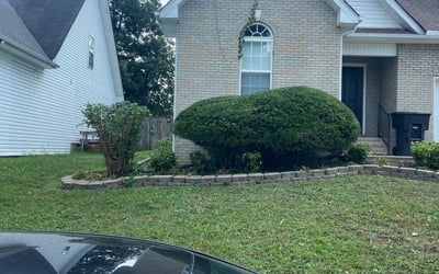 Photo of Natalie G.'s yard after getting landscaping in Centerville, TN