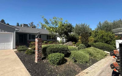 Photo of Sarah M.'s yard after getting landscaping in Sacramento, CA