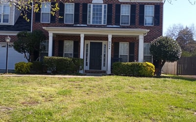 Photo of Mary S.'s yard after getting landscaping in Mount Pleasant, NC