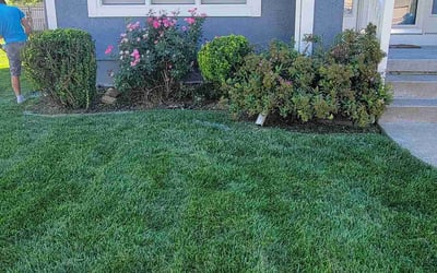 Photo of Paul M.'s yard after getting landscaping in Sibley, MO