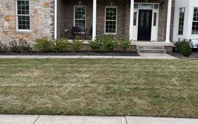 Photo of Tyler B.'s yard after getting landscaping in Martinsville, IN