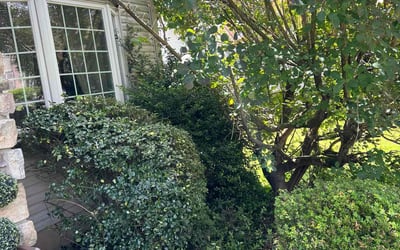 Photo of James J.'s yard after getting landscaping in Birdsboro, PA