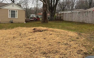 Photo of Jim M.'s yard after getting landscaping in Concordia, MO