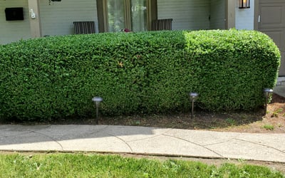 Photo of Susan M.'s yard after getting landscaping in Alexandria, OH