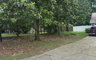 Photo of Anthony C.'s yard after getting landscaping in Alpharetta, GA
