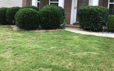 Photo of Allen J.'s yard after getting tree care in Covington, GA