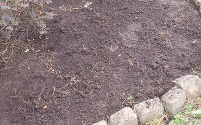 Photo of Chris S.'s yard after getting landscaping in Severn, VA